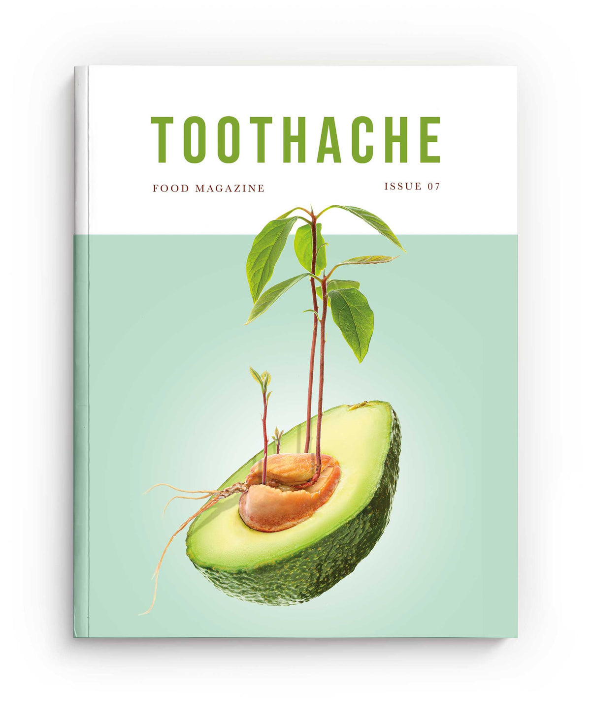 Toothache Issue 07 | Toothache Magazine